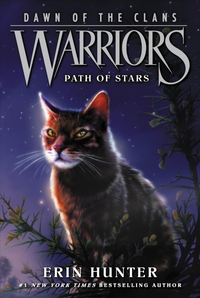 Path of stars / Erin Hunter.