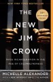 The New Jim Crow : mass incarceration in the age of colorblindness  Cover Image