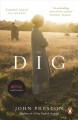 The dig  Cover Image